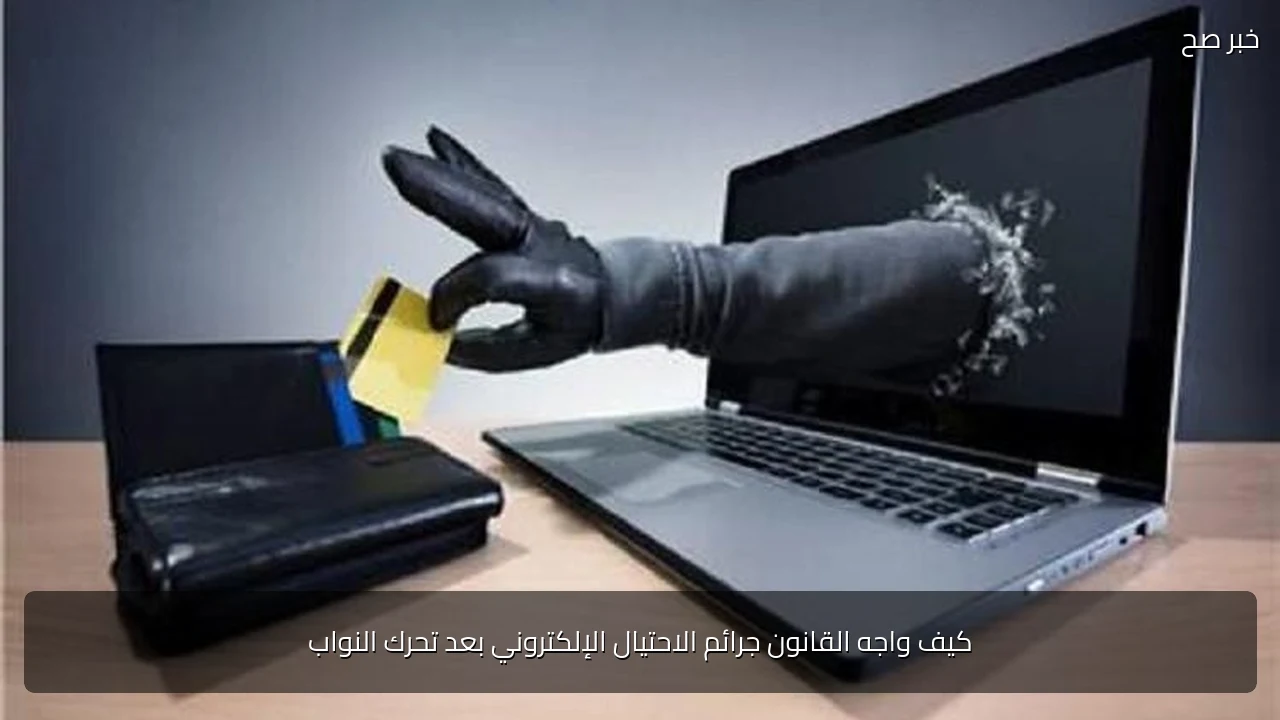 كيف واجه القانون جرائم الاحتيال الإلكتروني بعد تحرك النواب