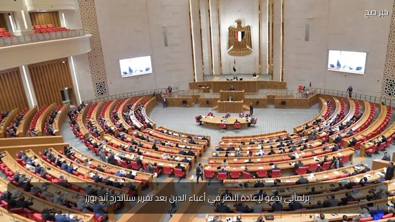برلماني يدعو لإعادة النظر في أعباء الدين بعد تقرير ستاندرد آند بورز