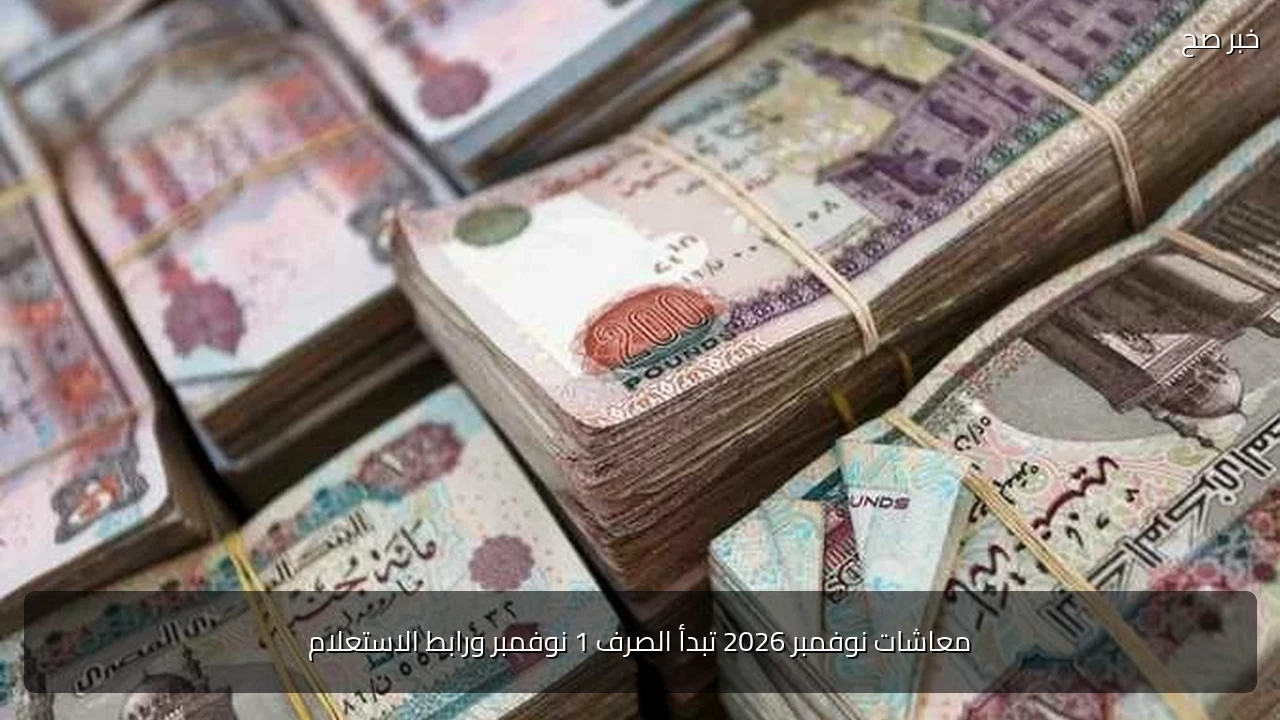 معاشات نوفمبر 2026 تبدأ الصرف 1 نوفمبر ورابط الاستعلام