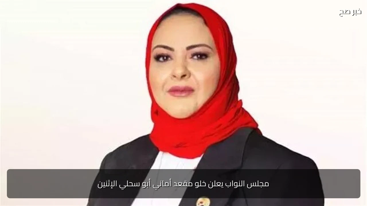 مجلس النواب يعلن خلو مقعد أماني أبو سحلي الإثنين