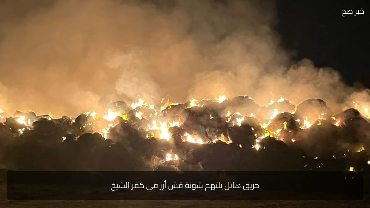 حريق هائل يلتهم شونة قش أرز في كفر الشيخ