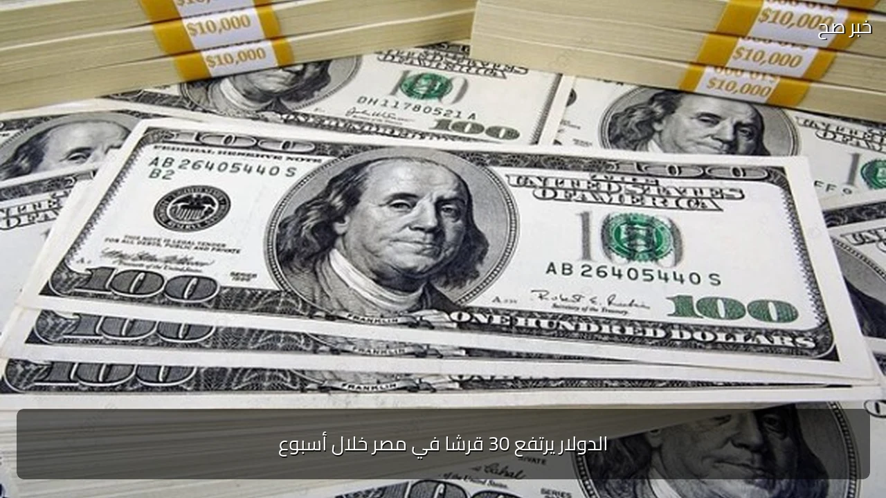 الدولار يرتفع 30 قرشا في مصر خلال أسبوع