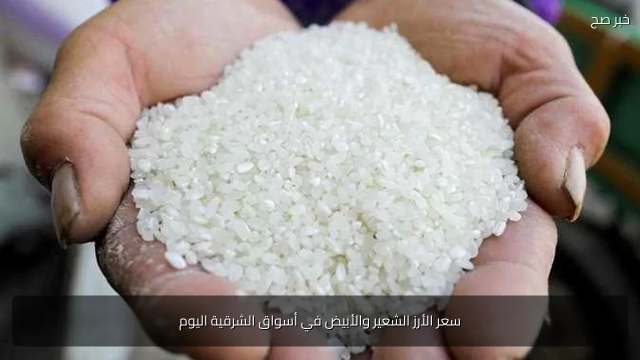 سعر الأرز الشعير والأبيض في أسواق الشرقية اليوم