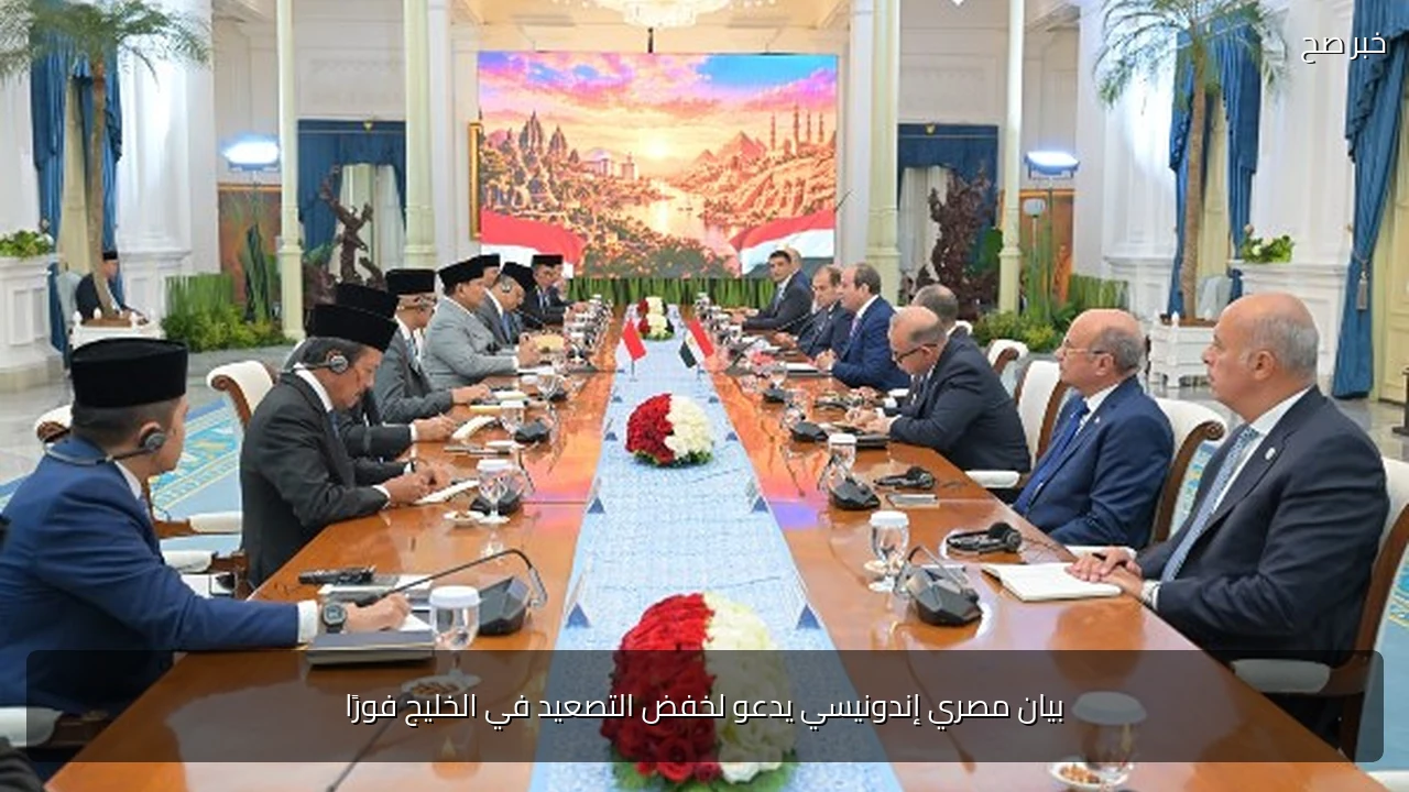 بيان مصري إندونيسي يدعو لخفض التصعيد في الخليج فورًا