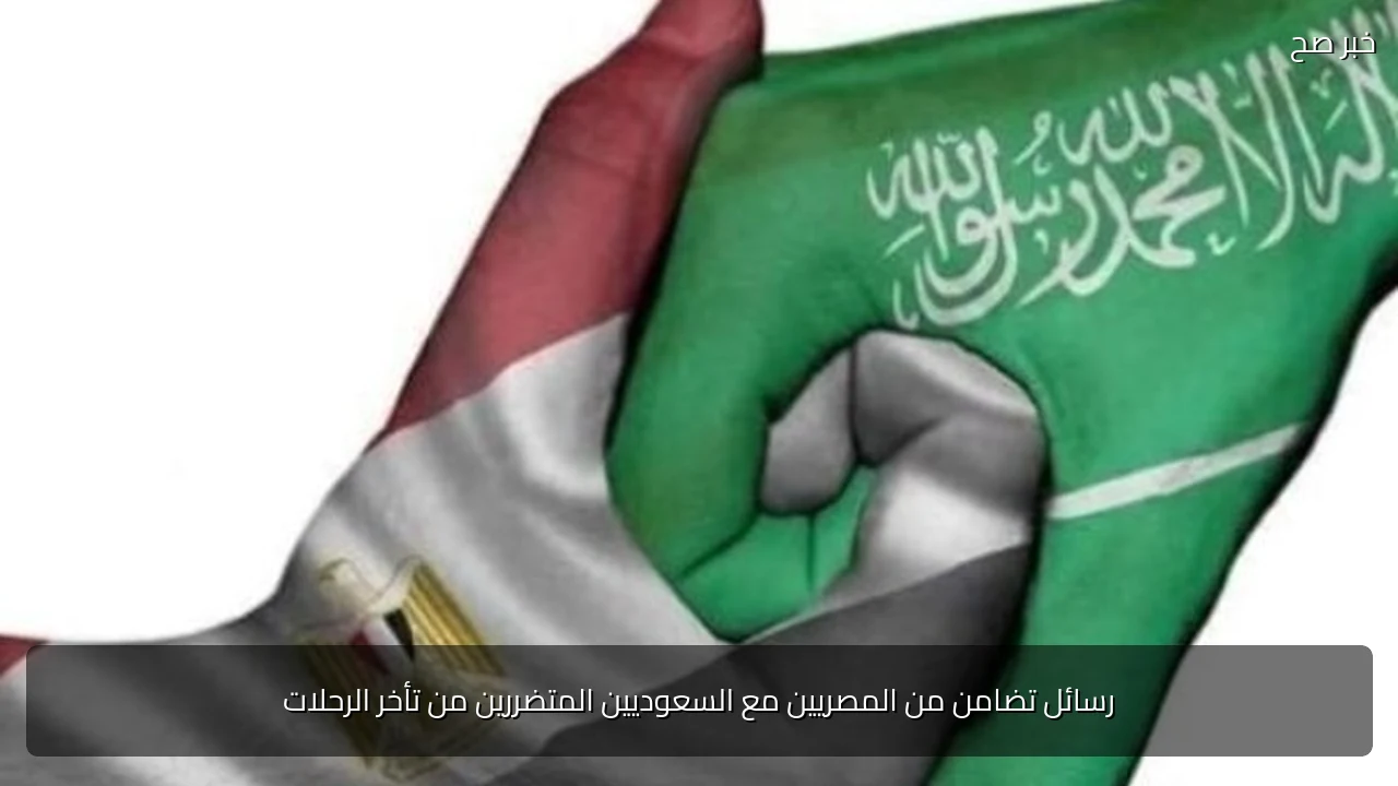 رسائل تضامن من المصريين مع السعوديين المتضررين من تأخر الرحلات