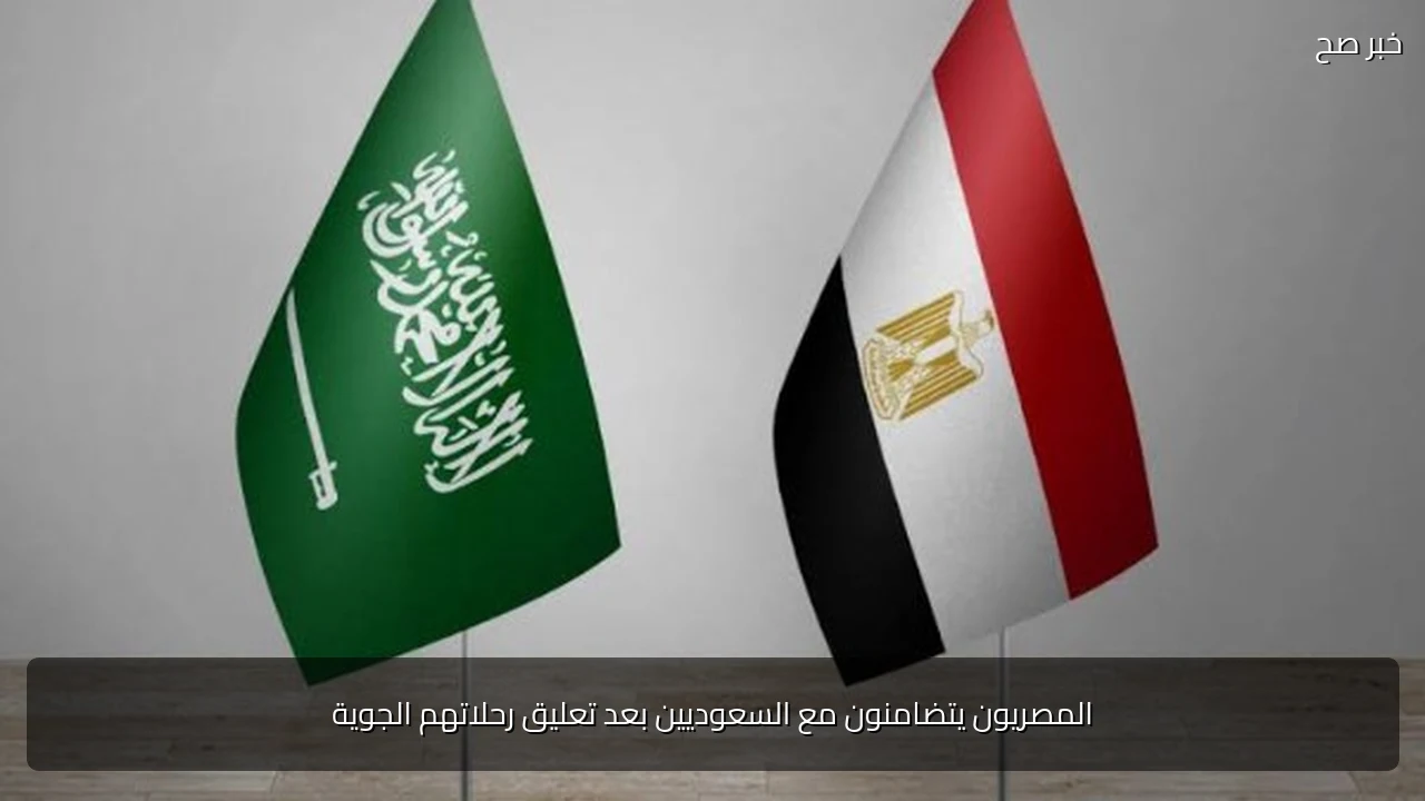المصريون يتضامنون مع السعوديين بعد تعليق رحلاتهم الجوية