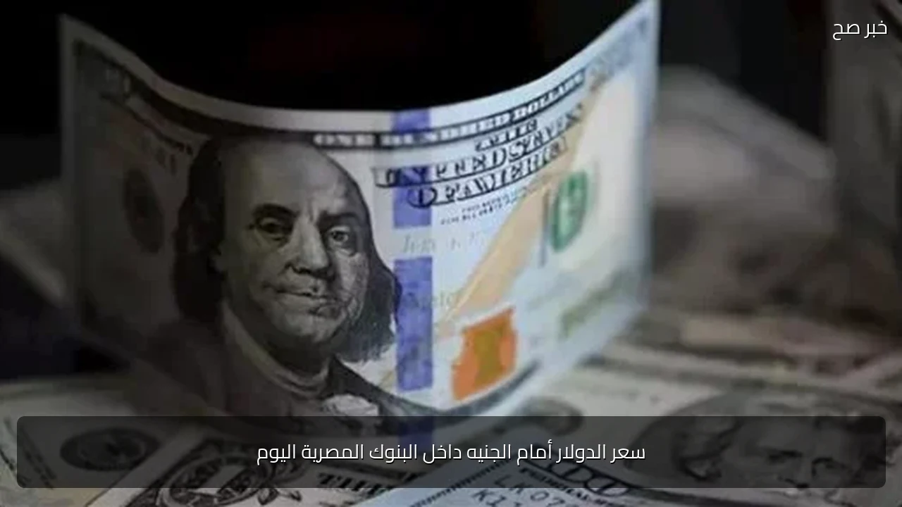 سعر الدولار أمام الجنيه داخل البنوك المصرية اليوم