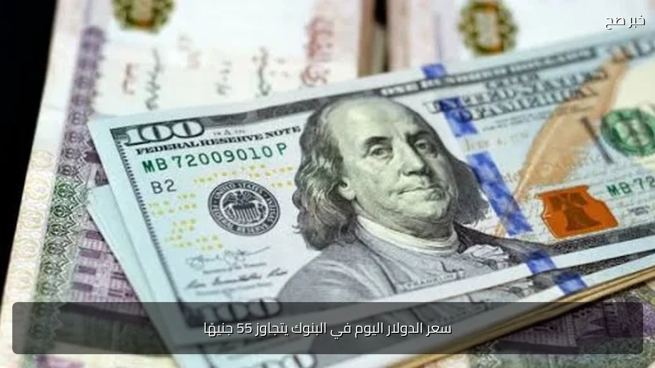 سعر الدولار اليوم في البنوك يتجاوز 55 جنيهًا