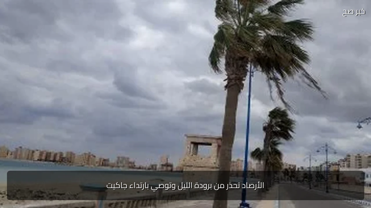 الأرصاد تحذر من برودة الليل وتوصي بارتداء جاكيت