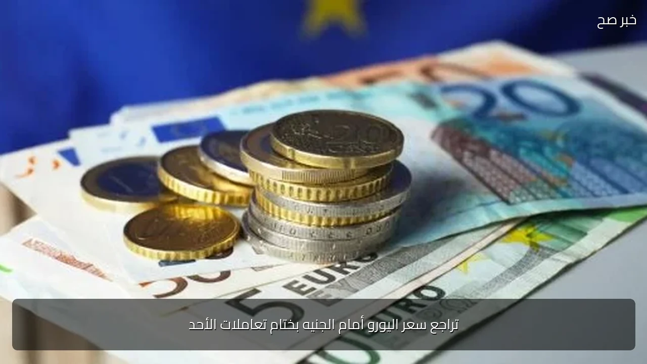 تراجع سعر اليورو أمام الجنيه بختام تعاملات الأحد