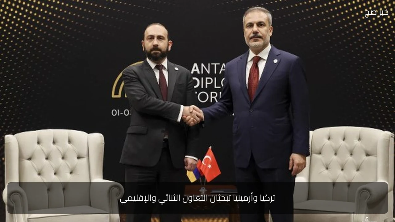 تركيا وأرمينيا تبحثان التعاون الثنائي والإقليمي