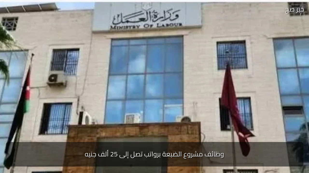 وظائف مشروع الضبعة برواتب تصل إلى 25 ألف جنيه