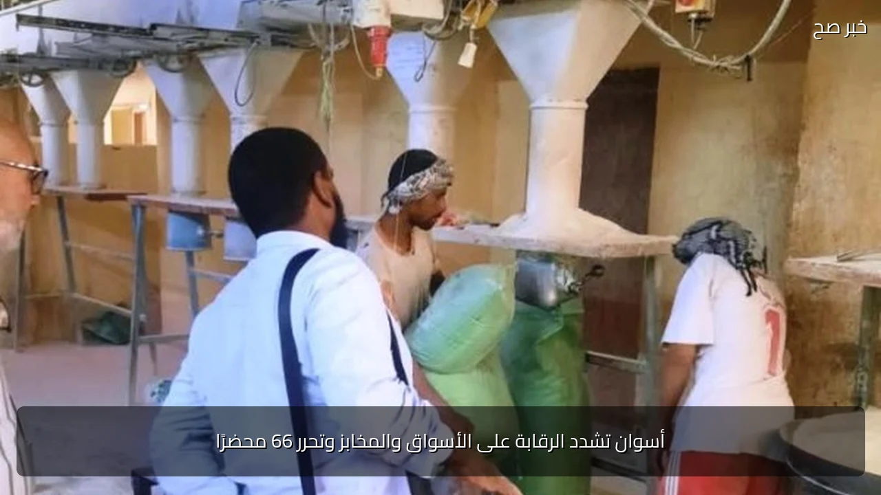 أسوان تشدد الرقابة على الأسواق والمخابز وتحرر 66 محضرًا