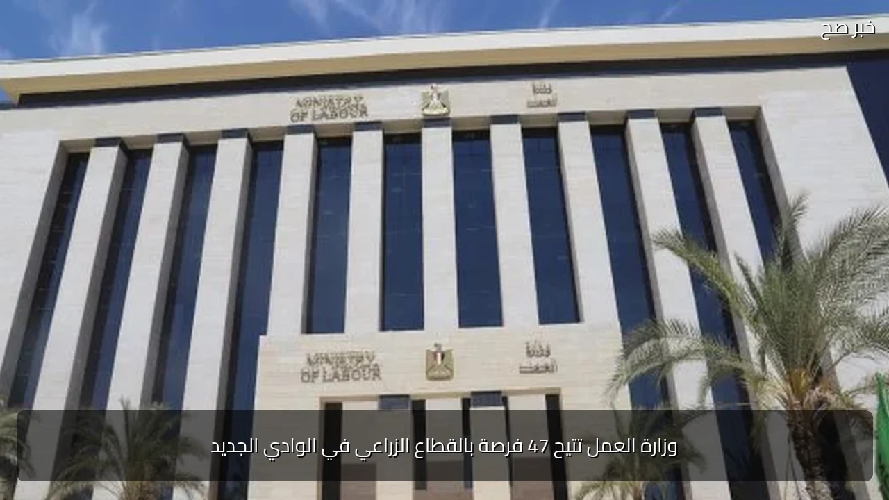 وزارة العمل تتيح 47 فرصة بالقطاع الزراعي في الوادي الجديد