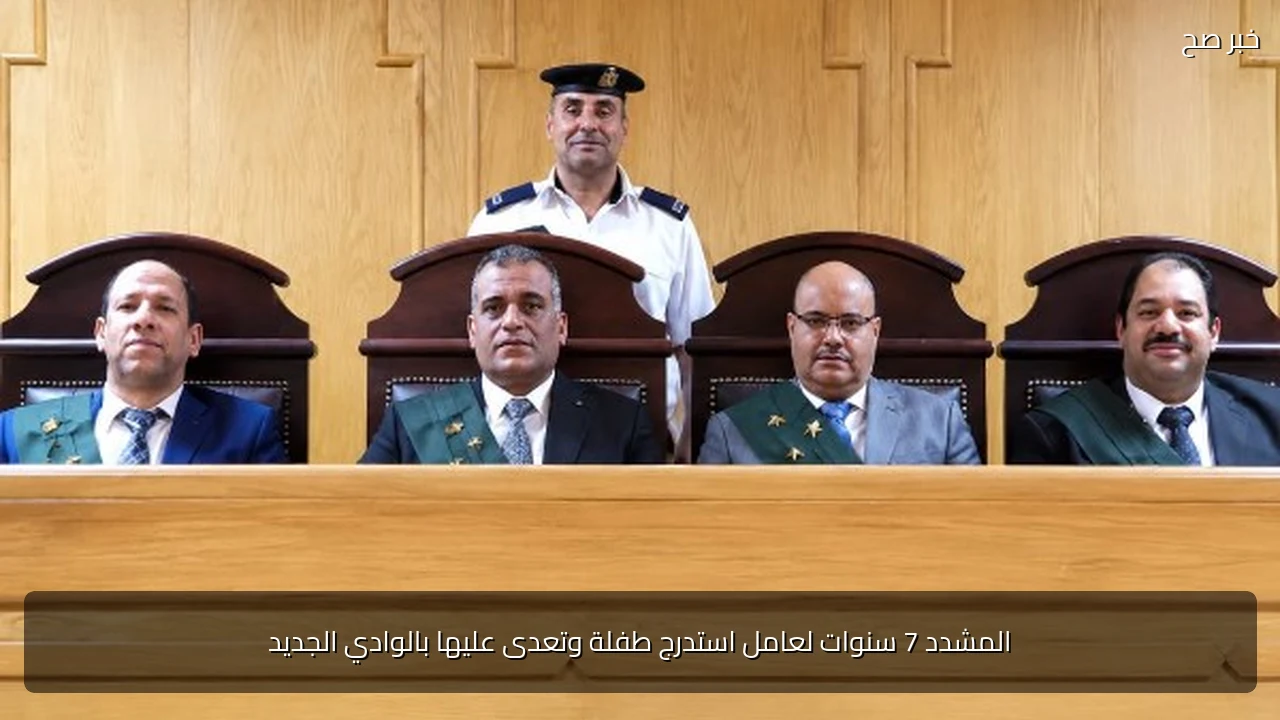 المشدد 7 سنوات لعامل استدرج طفلة وتعدى عليها بالوادي الجديد