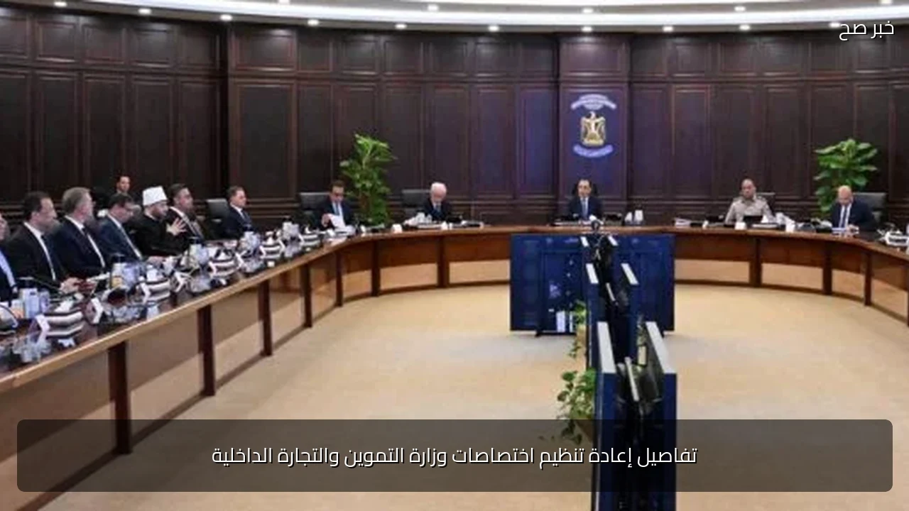 تفاصيل إعادة تنظيم اختصاصات وزارة التموين والتجارة الداخلية