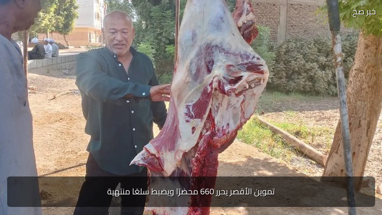 تموين الأقصر يحرر 660 محضرًا ويضبط سلعًا منتهية