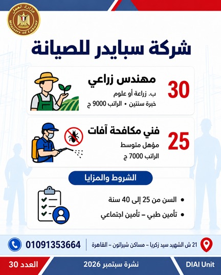 وزارة العمل توفر 2539 فرصة عمل في 11 محافظة