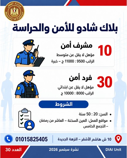 وزارة العمل توفر 2539 فرصة عمل في 11 محافظة