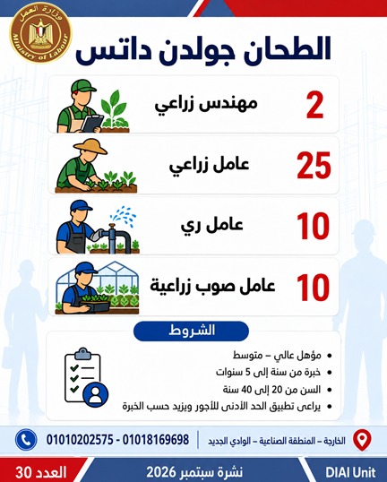 وزارة العمل توفر 2539 فرصة عمل في 11 محافظة