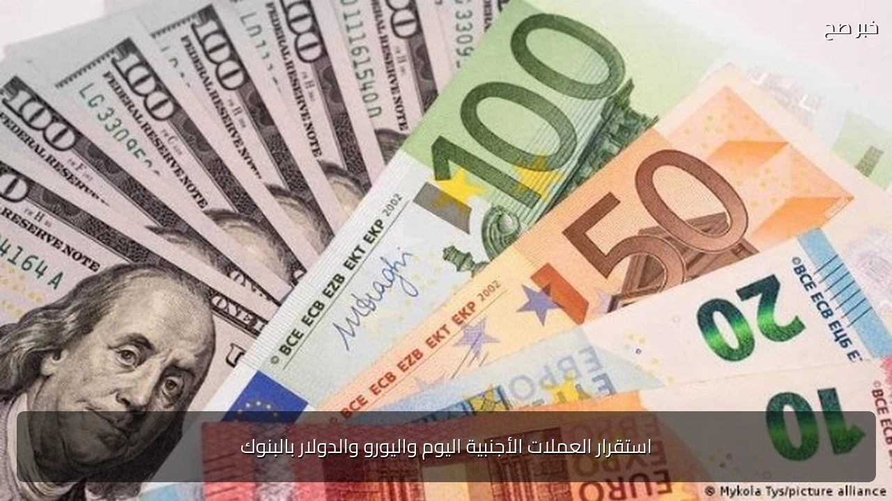 استقرار العملات الأجنبية اليوم واليورو والدولار بالبنوك