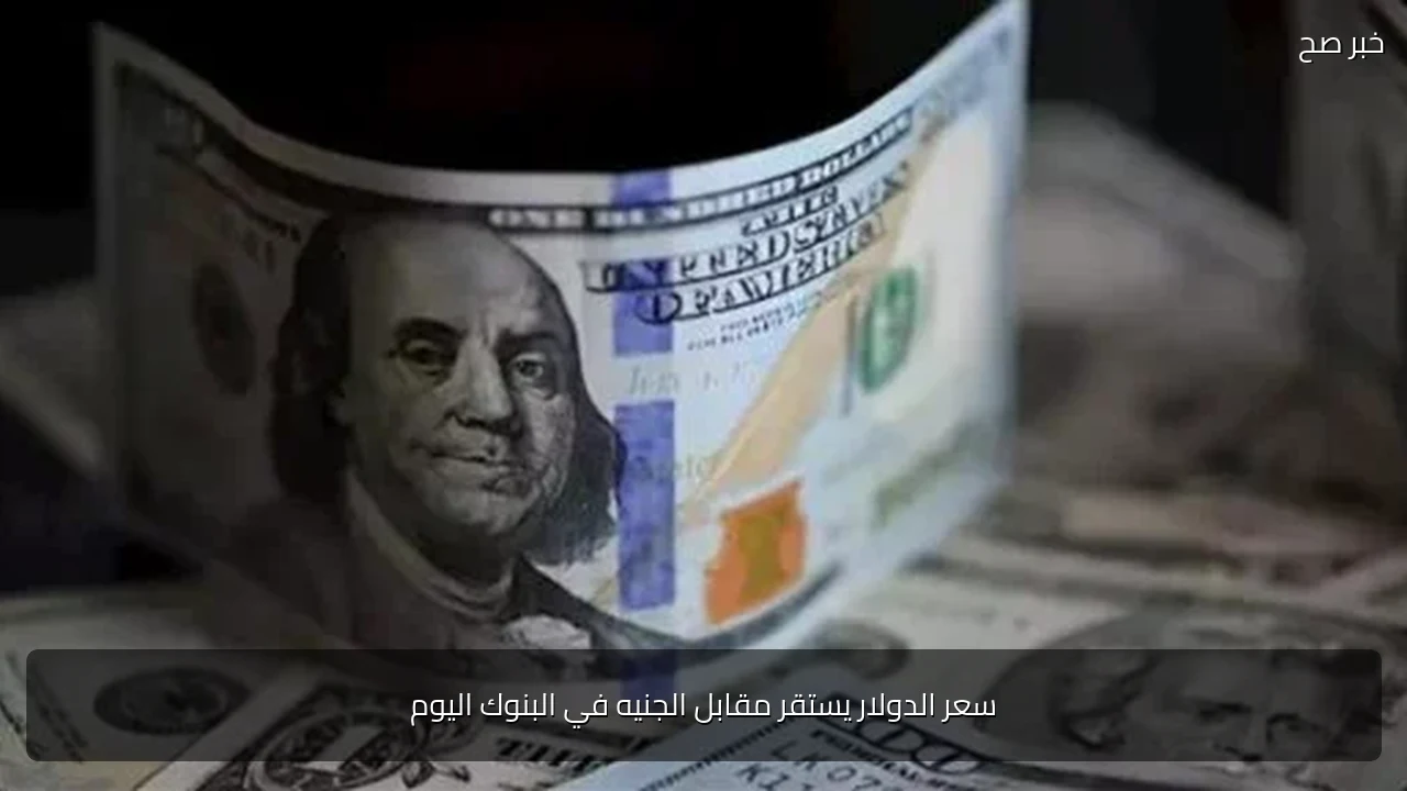 سعر الدولار يستقر مقابل الجنيه في البنوك اليوم