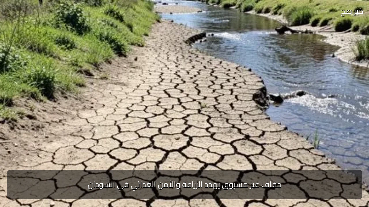 جفاف غير مسبوق يهدد الزراعة والأمن الغذائي في السودان