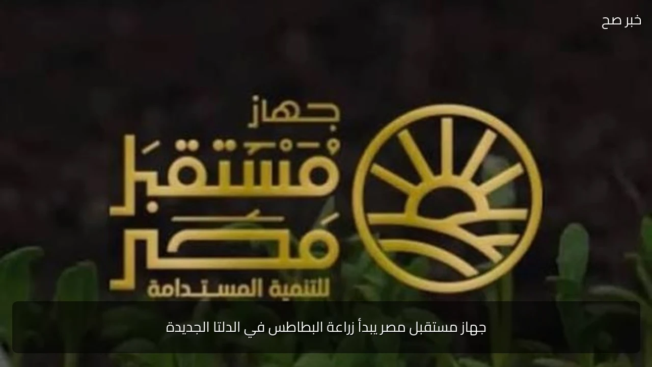 جهاز مستقبل مصر يبدأ زراعة البطاطس في الدلتا الجديدة
