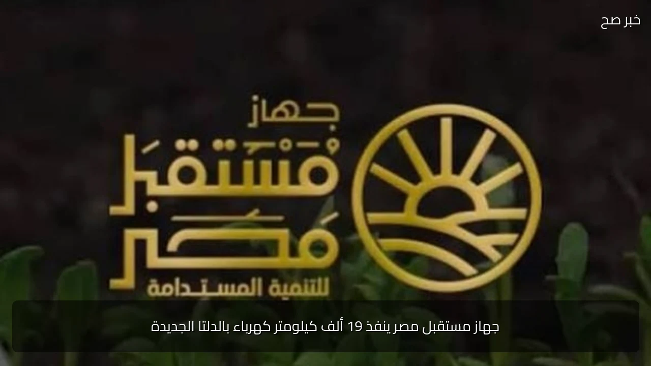 جهاز مستقبل مصر ينفذ 19 ألف كيلومتر كهرباء بالدلتا الجديدة