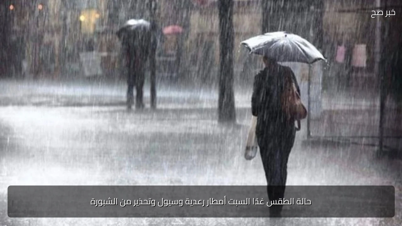 حالة الطقس غدًا السبت أمطار رعدية وسيول وتحذير من الشبورة