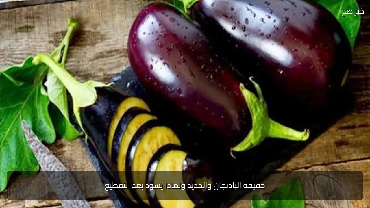 حقيقة الباذنجان والحديد ولماذا يسود بعد التقطيع