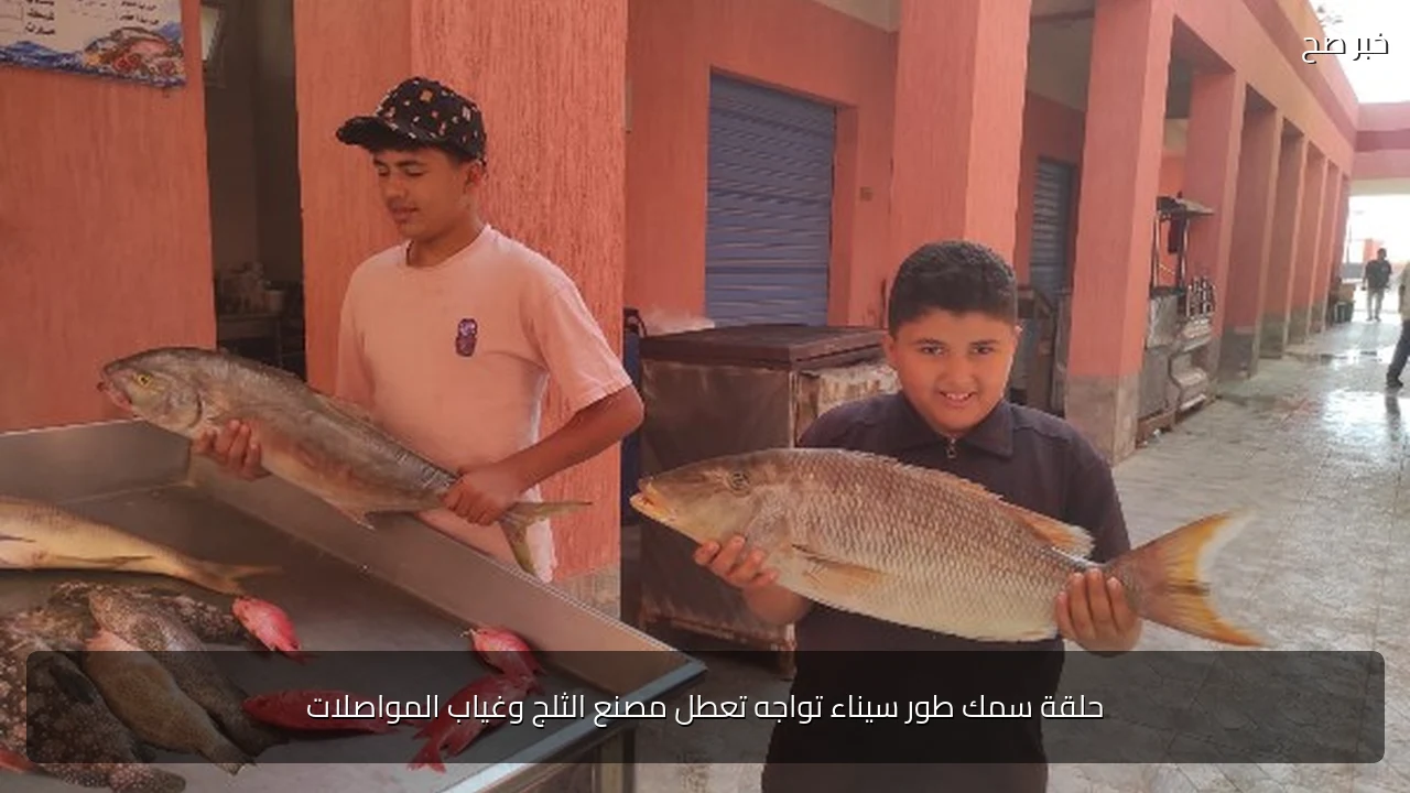 حلقة سمك طور سيناء تواجه تعطل مصنع الثلج وغياب المواصلات