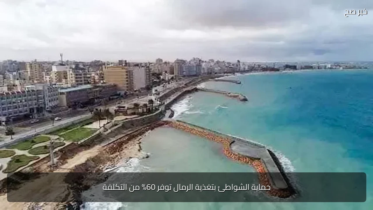 حماية الشواطئ بتغذية الرمال توفر 60% من التكلفة