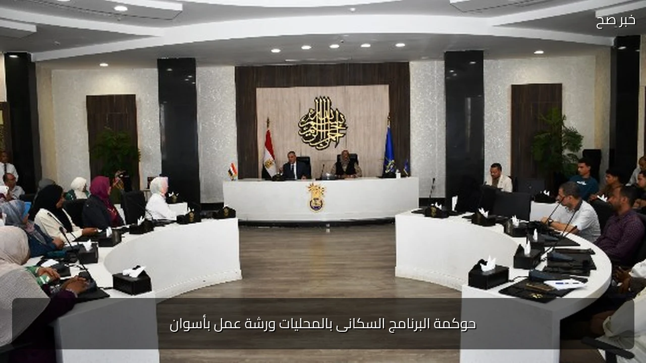 حوكمة البرنامج السكانى بالمحليات ورشة عمل بأسوان