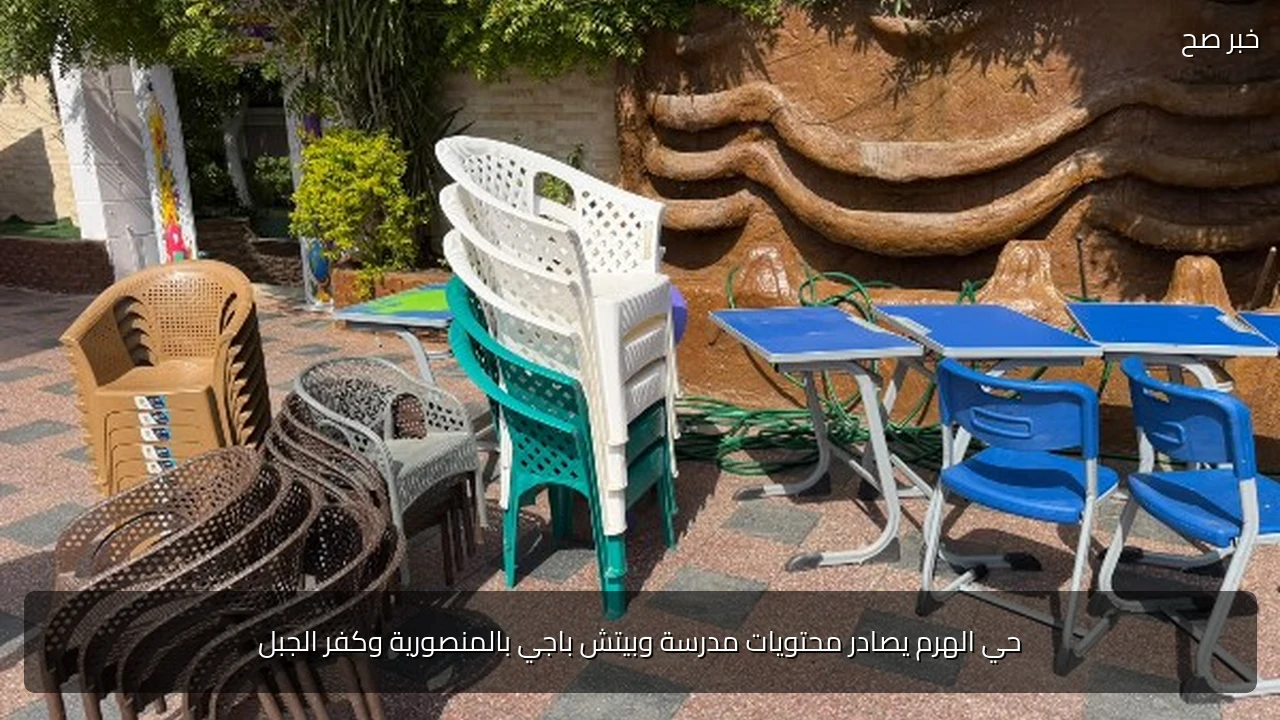 حي الهرم يصادر محتويات مدرسة وبيتش باجي بالمنصورية وكفر الجبل