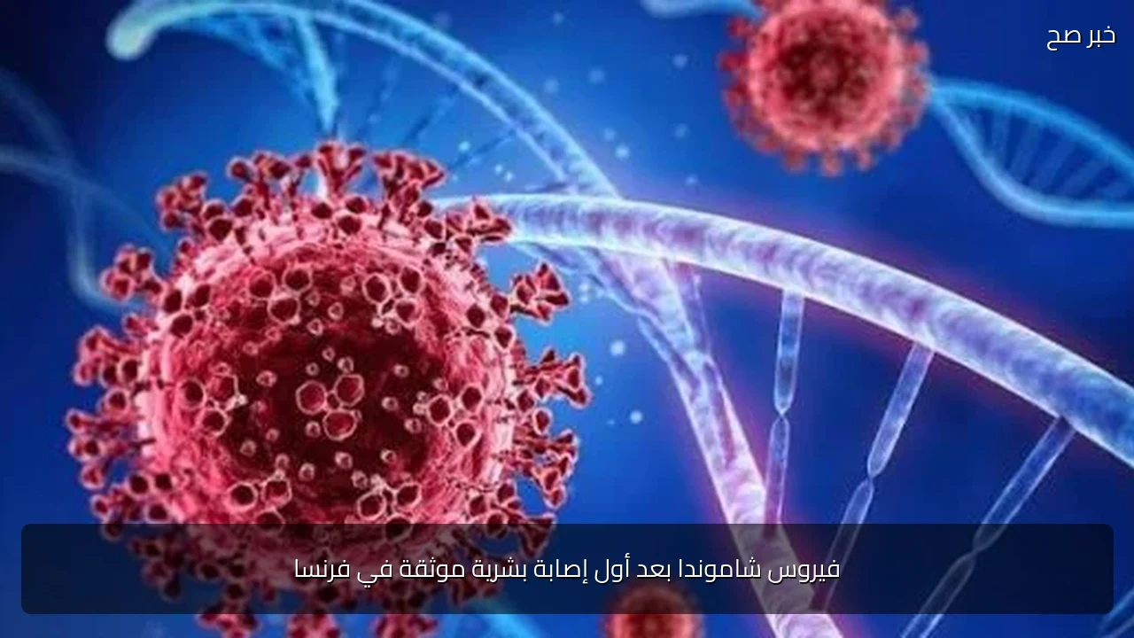 فيروس شاموندا بعد أول إصابة بشرية موثقة في فرنسا