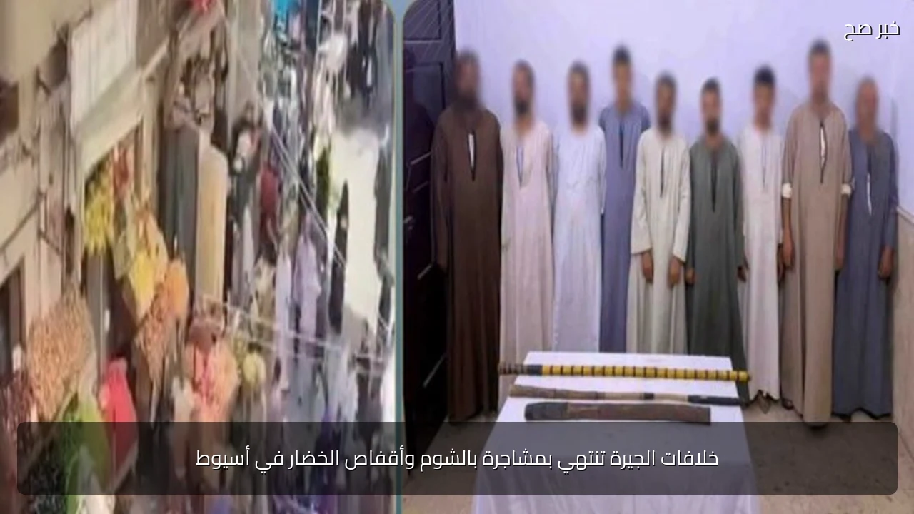 خلافات الجيرة تنتهي بمشاجرة بالشوم وأقفاص الخضار في أسيوط