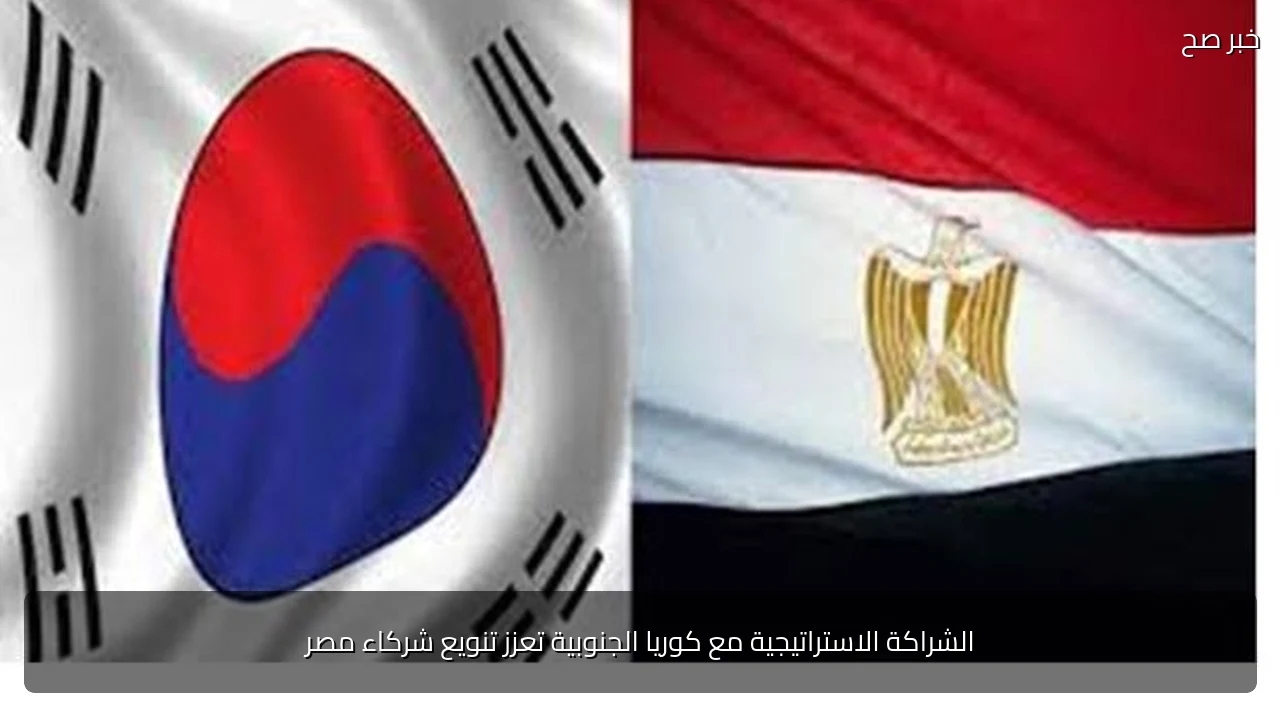 الشراكة الاستراتيجية مع كوريا الجنوبية تعزز تنويع شركاء مصر