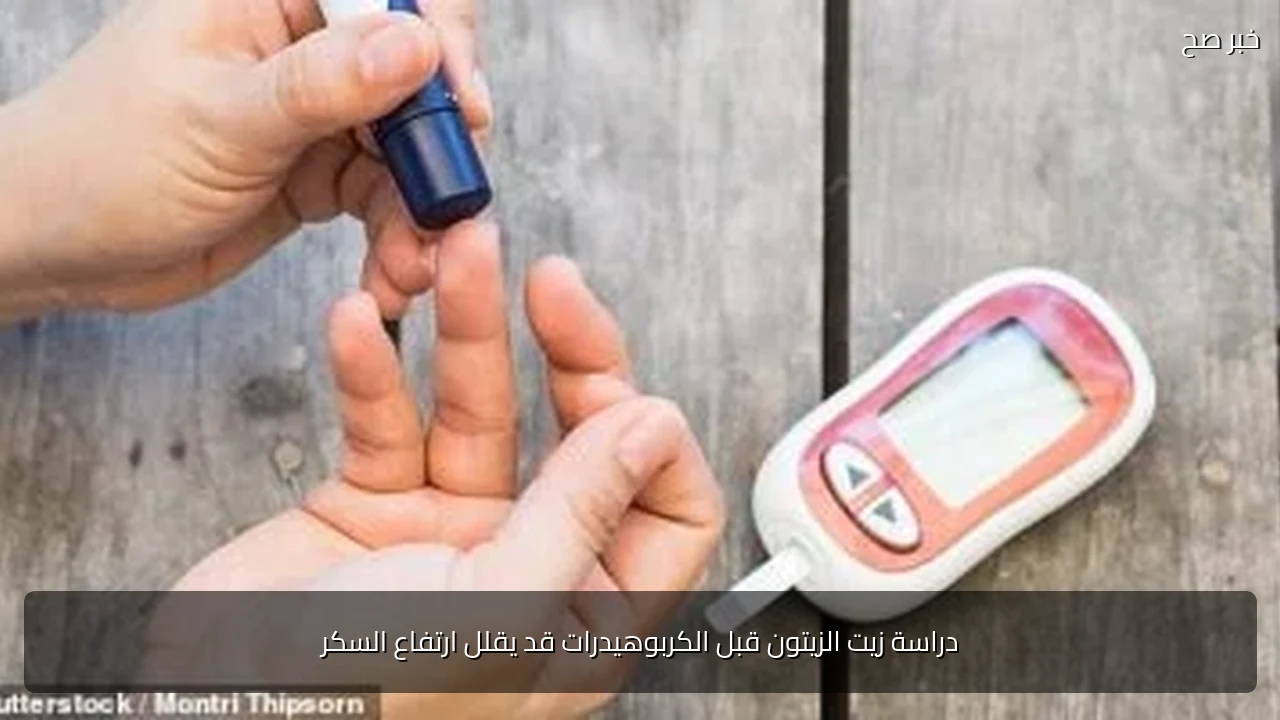 دراسة زيت الزيتون قبل الكربوهيدرات قد يقلل ارتفاع السكر