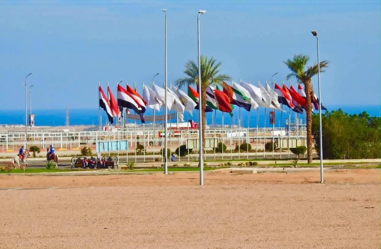شرم الشيخ تستعد لمهرجان الهجن بمشاركة 12 قبيلة شرم الشيخ تستعد لمهرجان الهجن بمشاركة 12 قبيلة