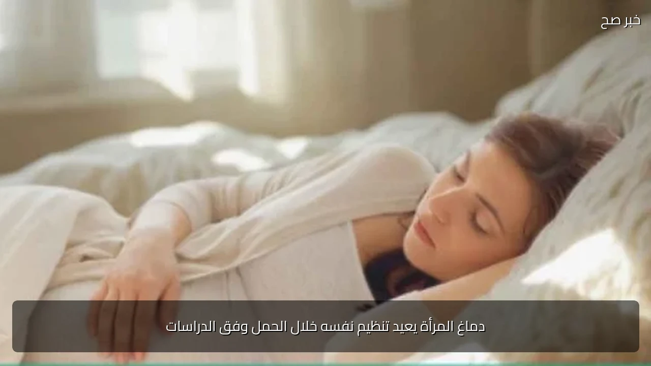 دماغ المرأة يعيد تنظيم نفسه خلال الحمل وفق الدراسات