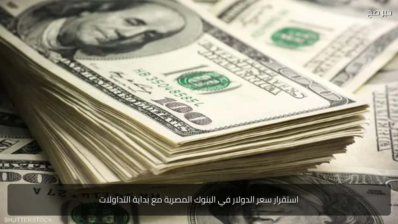 استقرار سعر الدولار في البنوك المصرية مع بداية التداولات