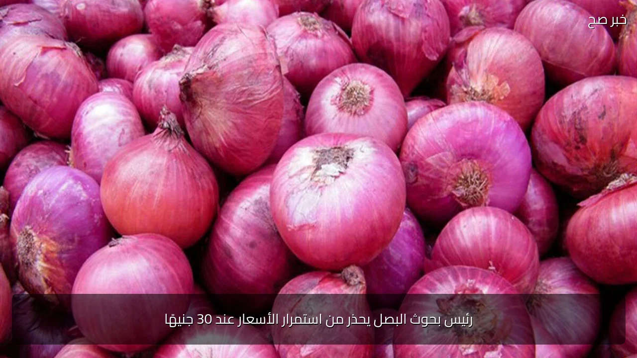 رئيس بحوث البصل يحذر من استمرار الأسعار عند 30 جنيهًا