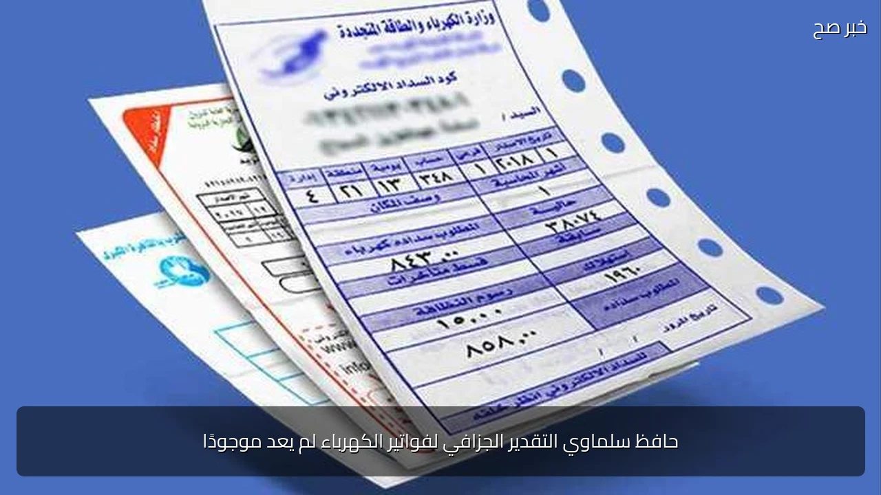 حافظ سلماوي التقدير الجزافي لفواتير الكهرباء لم يعد موجودًا