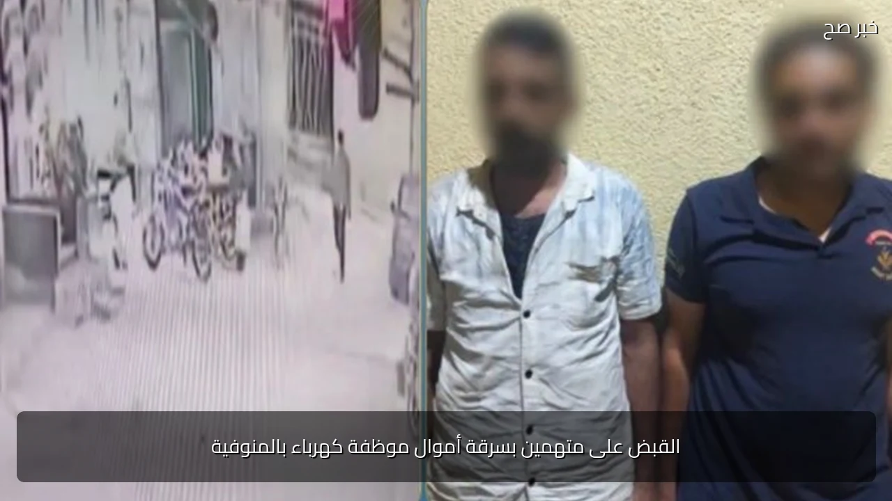 القبض على متهمين بسرقة أموال موظفة كهرباء بالمنوفية