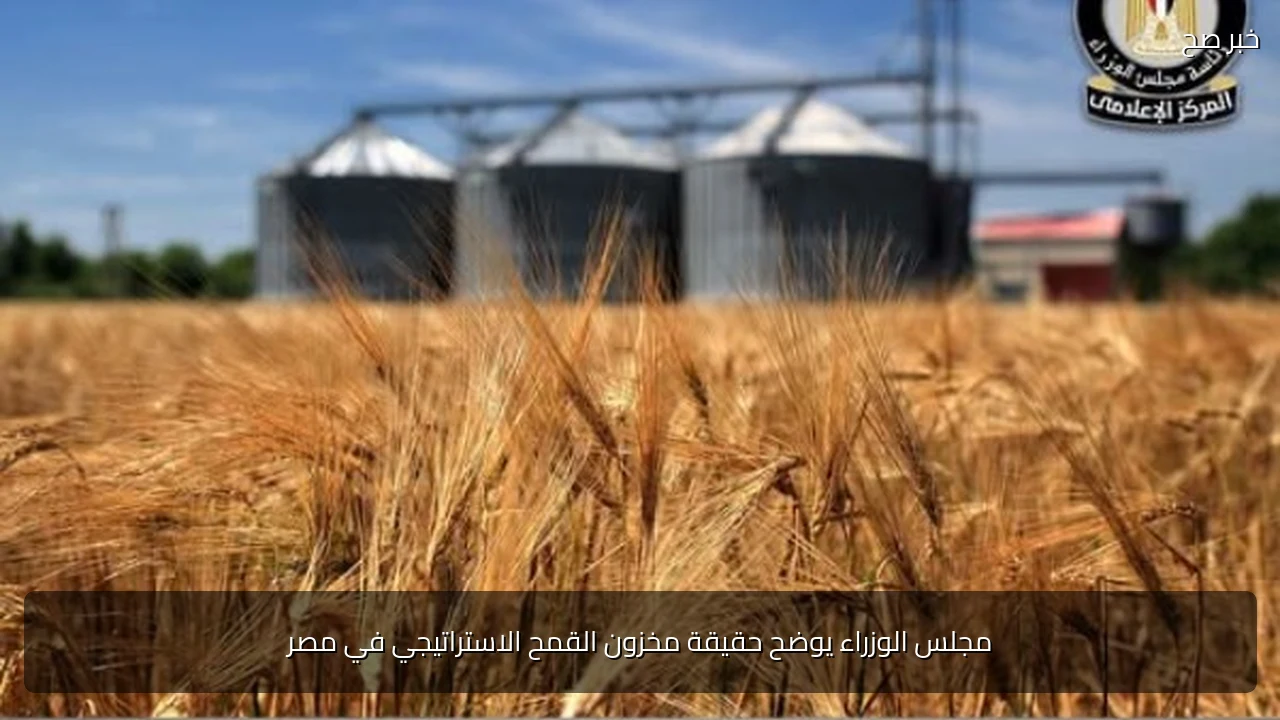 مجلس الوزراء يوضح حقيقة مخزون القمح الاستراتيجي في مصر