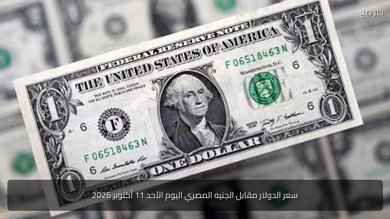 سعر الدولار مقابل الجنيه المصري اليوم الأحد 11 أكتوبر 2026