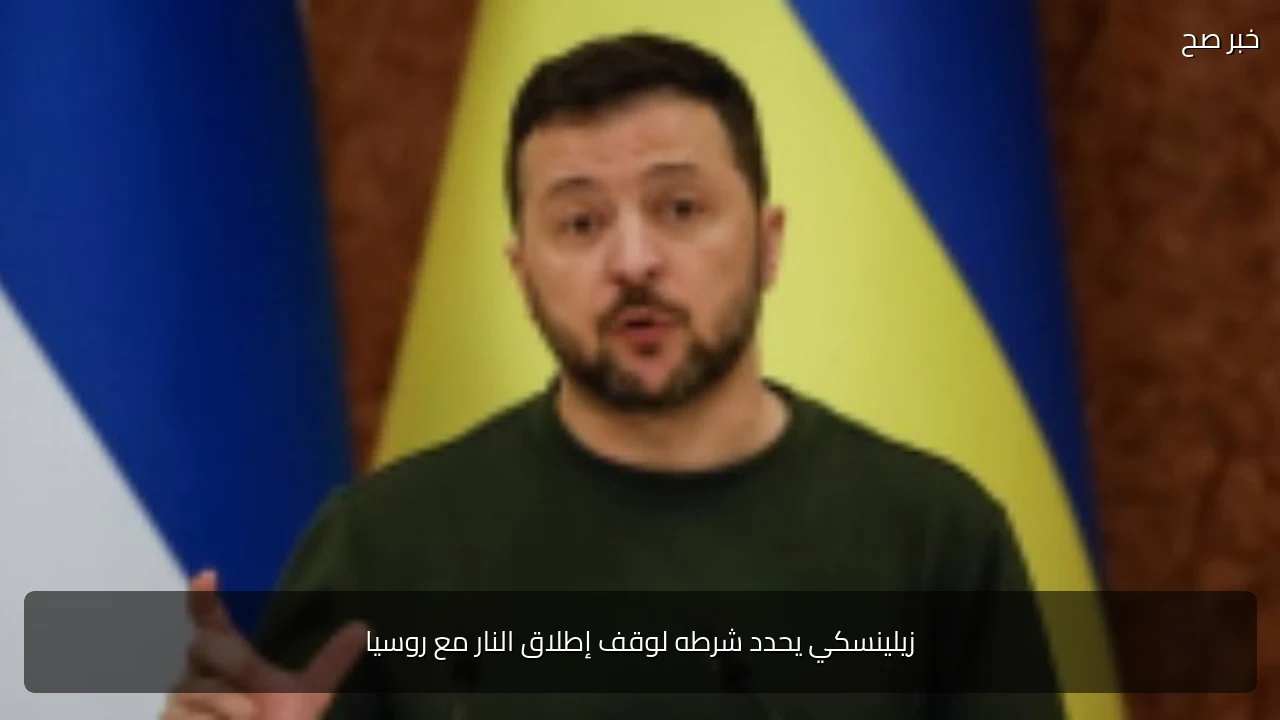 زيلينسكي يحدد شرطه لوقف إطلاق النار مع روسيا