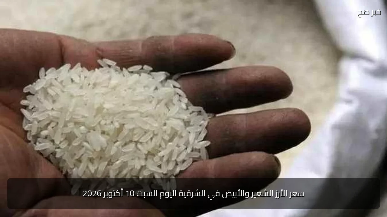 سعر الأرز الشعير والأبيض في الشرقية اليوم السبت 10 أكتوبر 2026