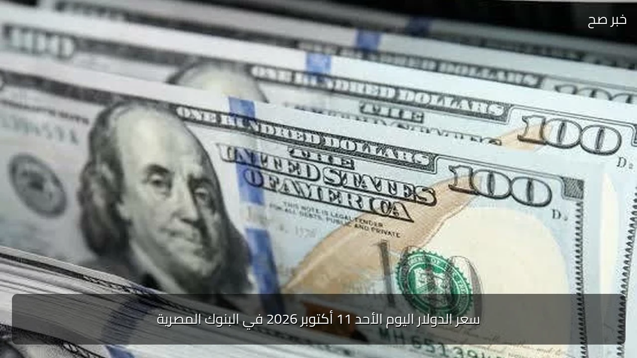 سعر الدولار اليوم الأحد 11 أكتوبر 2026 في البنوك المصرية